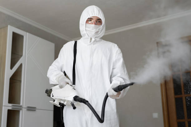 Geneseo, IL Mold Removal Services Company